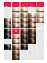 Calura Permanent Color Swatch Chart (digital copy) – Oobalie Pro